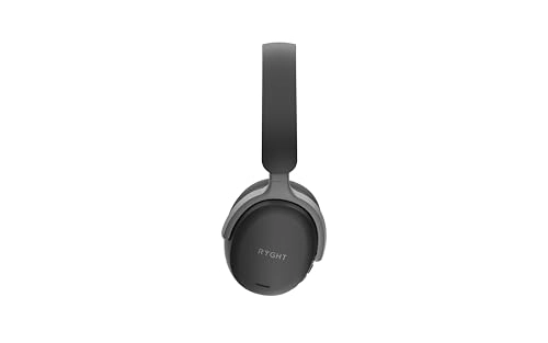 Levo ANC Wireless Headphone