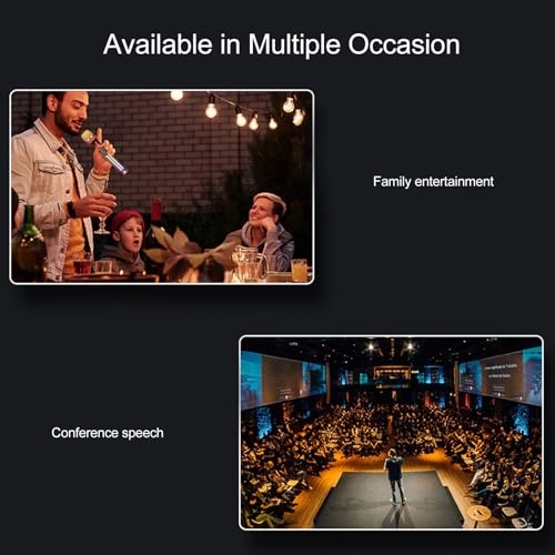 Dynamic Wireless Microphone Set - 1