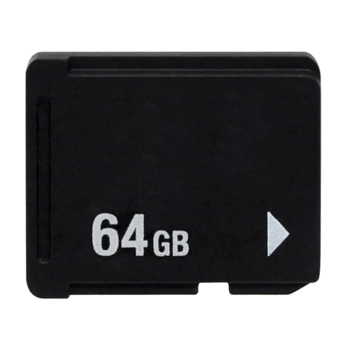 Memory Card Stick - 64GB