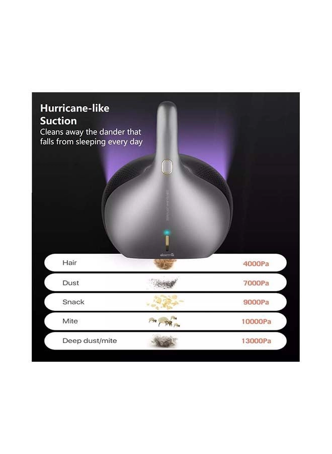 Dust Mite Vacuum Cleaner