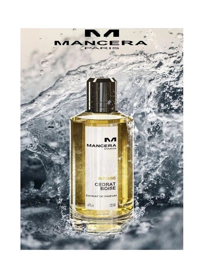 Cedrat Boise Eau de Parfum 120ml