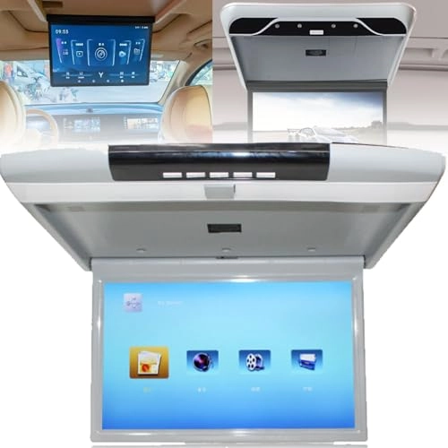 MP5 Ceiling Display - 17.3 Inch