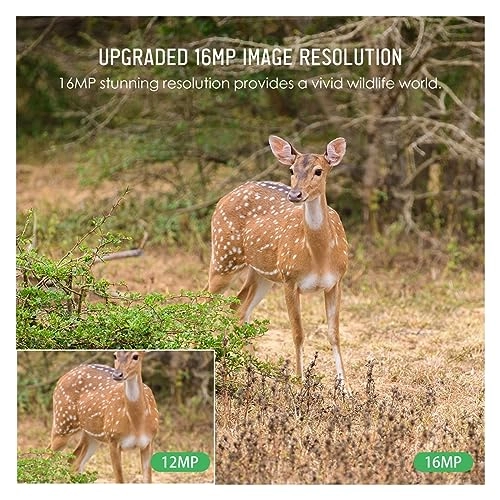 Hunting Camera - 16MP