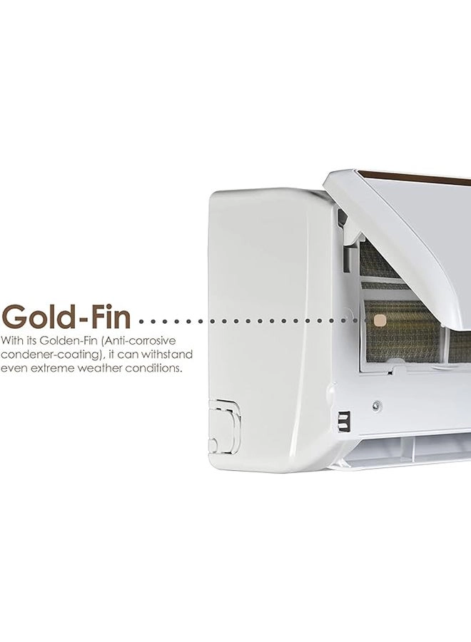 SGS249NE - 2 T 19500 BTU