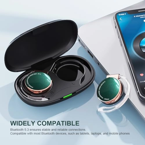 BT-X Wireless Headphone