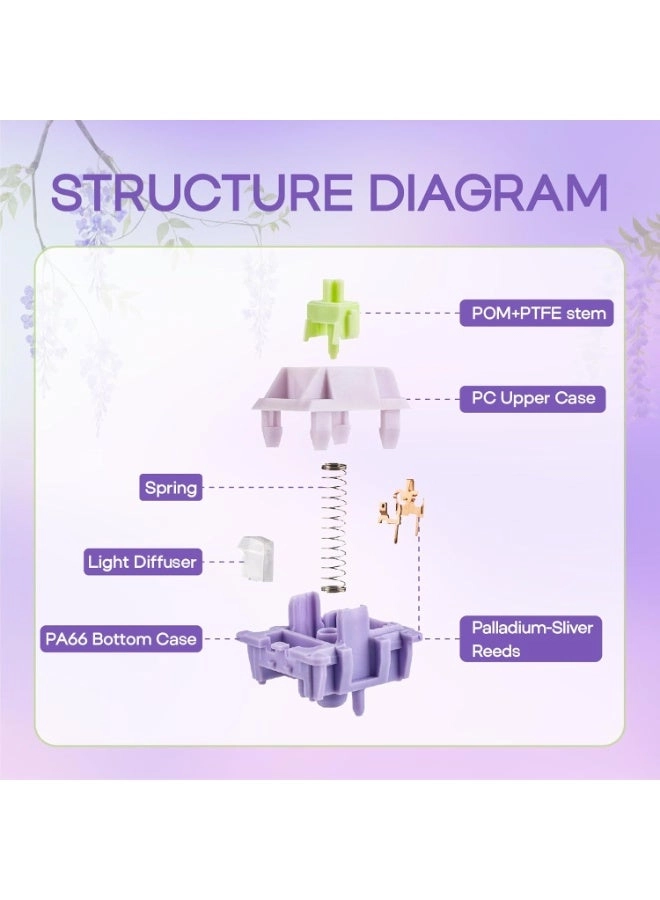 Wisteria V2 - 35 Pieces