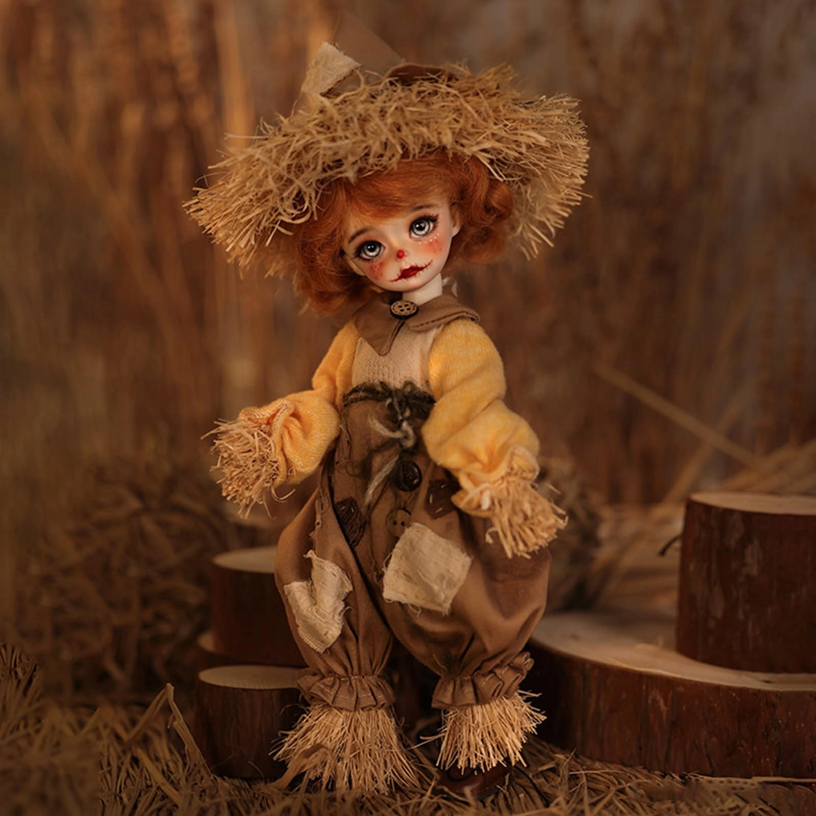 BJD Doll - 1/6 Resin Girl Ages 15+ Set