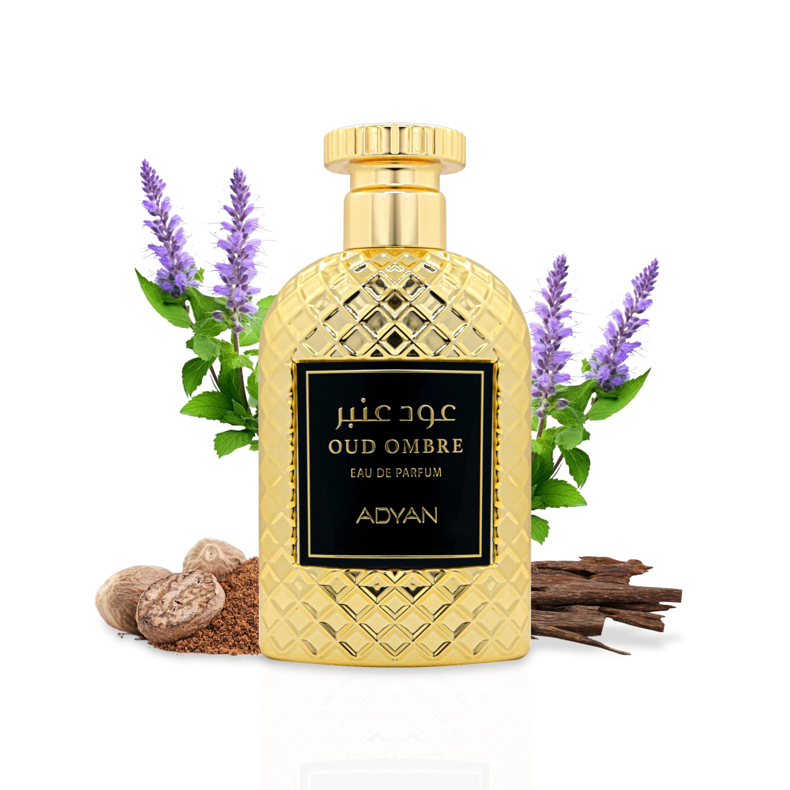 OUDH AL ANFAR MANUFACTURING L.L.C Oud Ombre - Eau de Parfum 100ml
