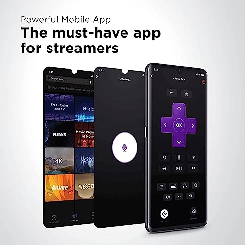 (Renewed) S41R-cr - 65-Inch