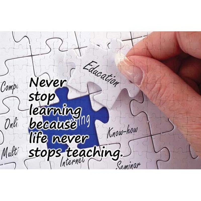 Ajooba Dubai Education Puzzle (8520)