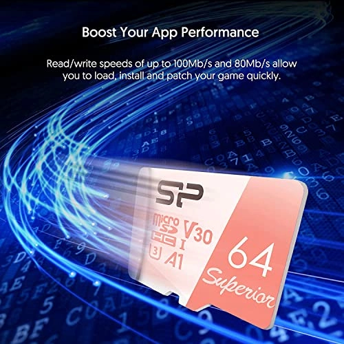 STXDV3V20SP - 256GB