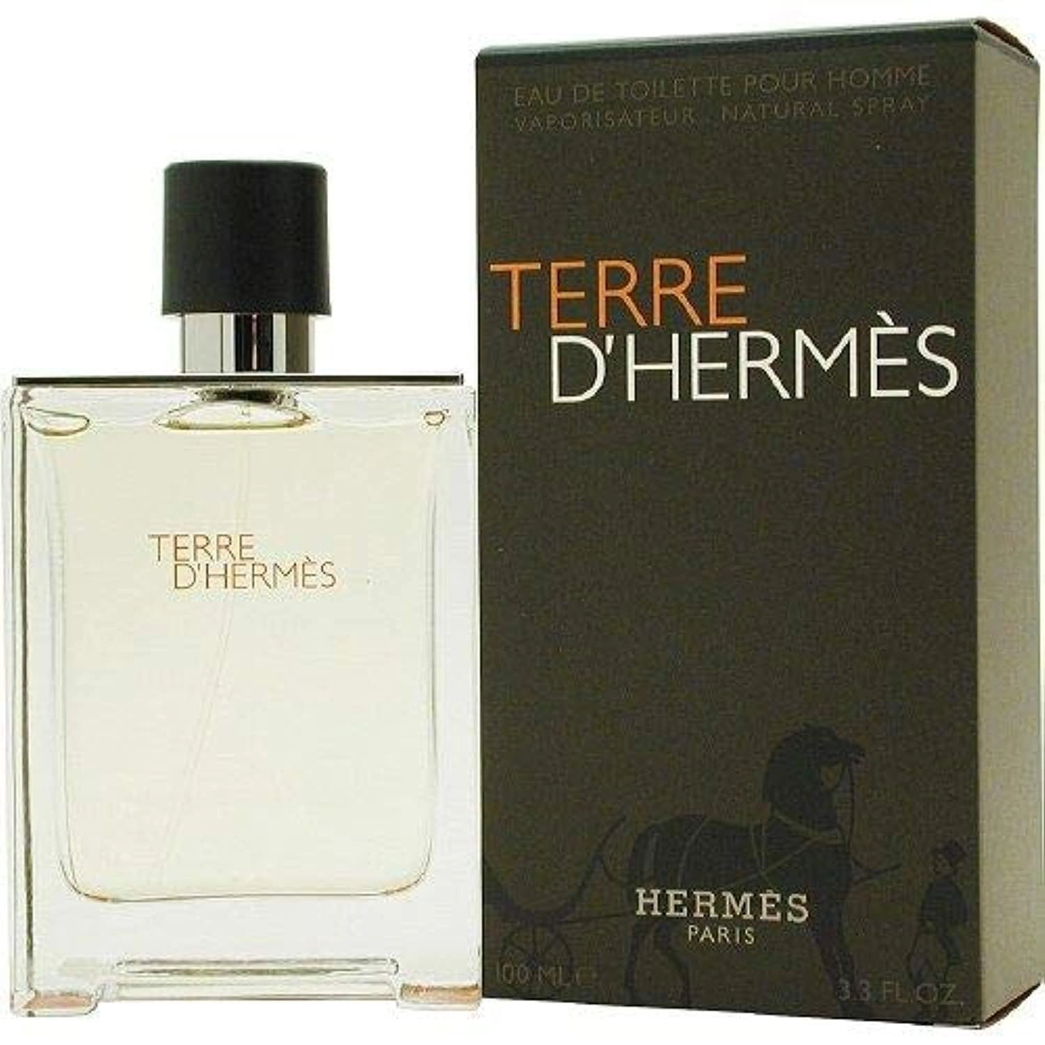 Terre D' Hermes Eau de Toilette 100ml