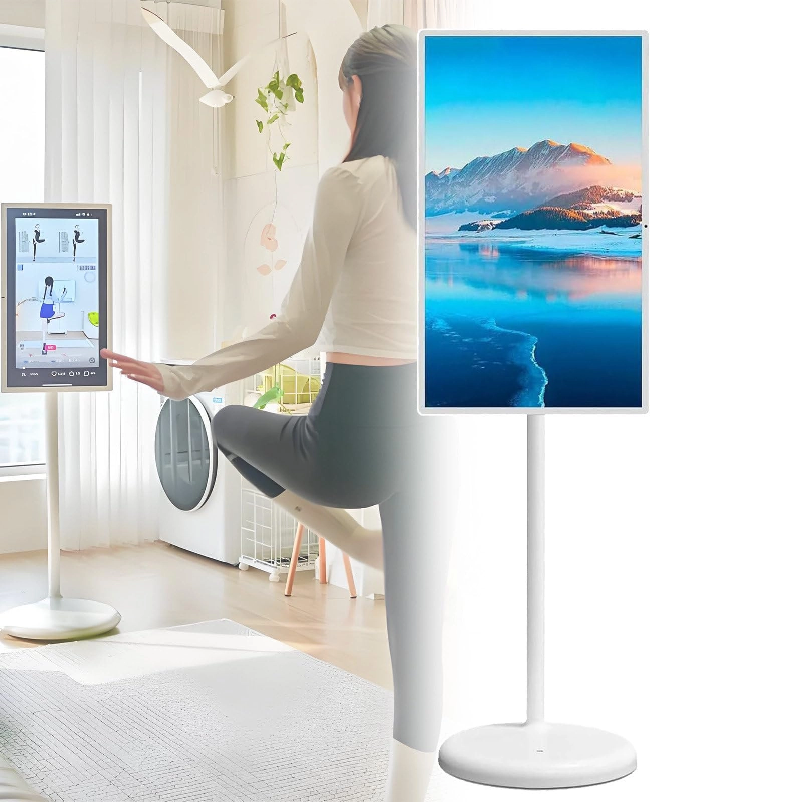 Smart Mobile Touch TV - Full HD 27 inch