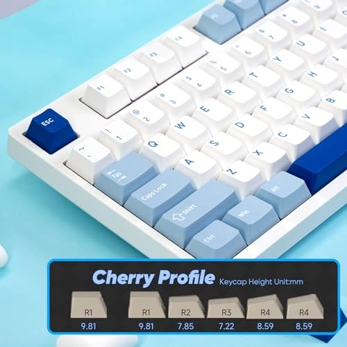 3108RF - US Wired/Wireless