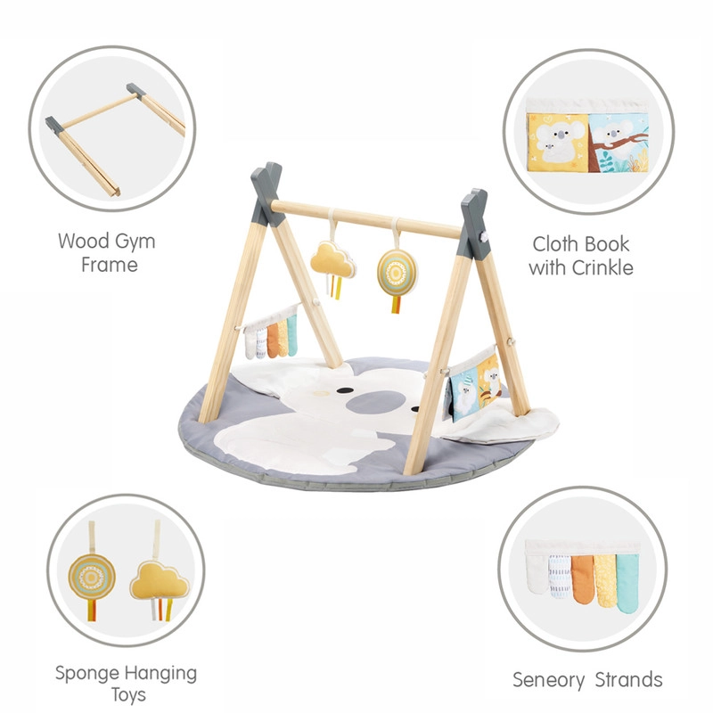 Nyra - Koala 0 month