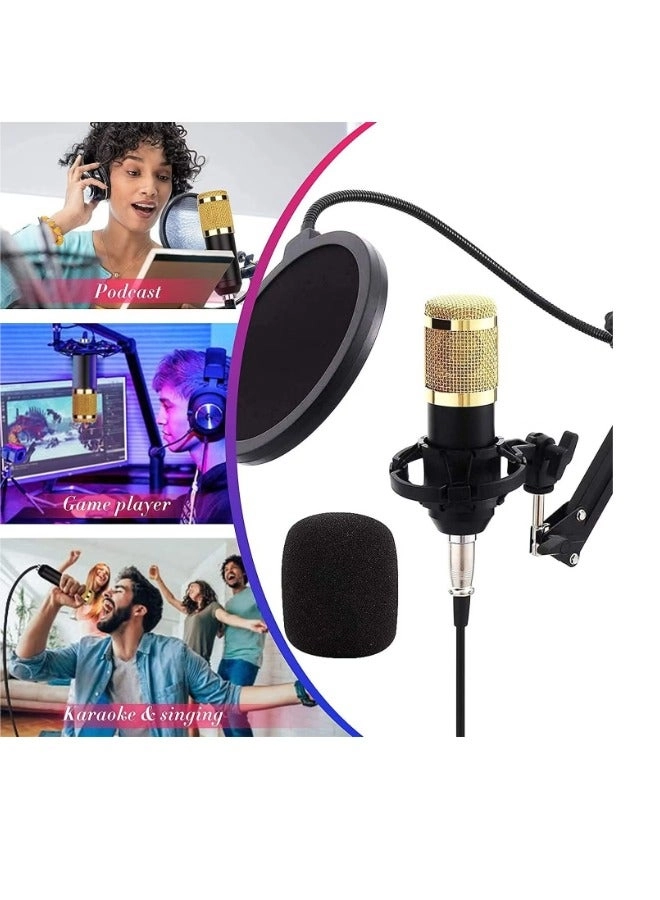 BM-800 + V8 live sound card Wireless Microphone