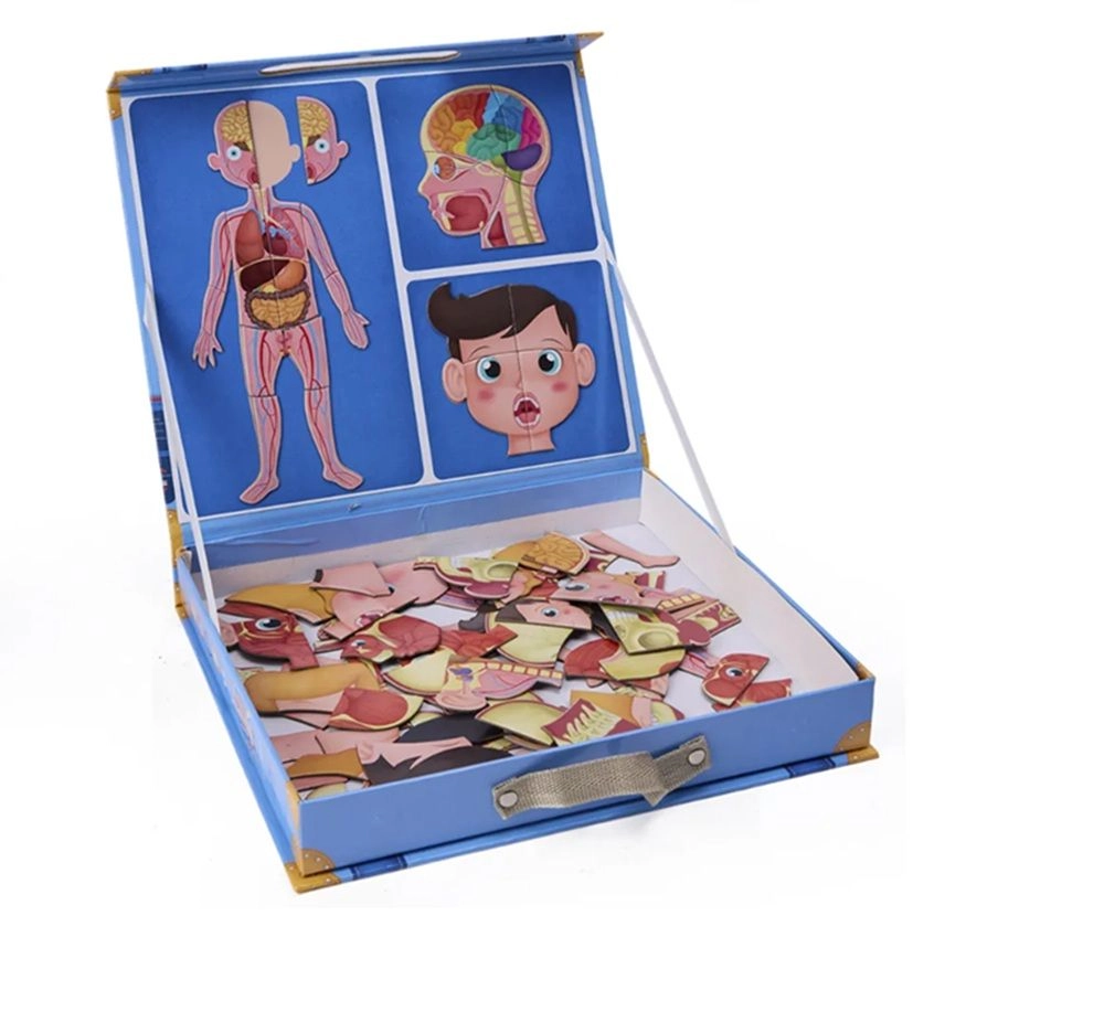 Human Body Magnetic Puzzle - 7+ 100 pieces