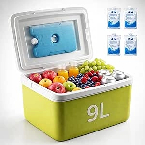 auto family Insulated Cooler Box - 9L