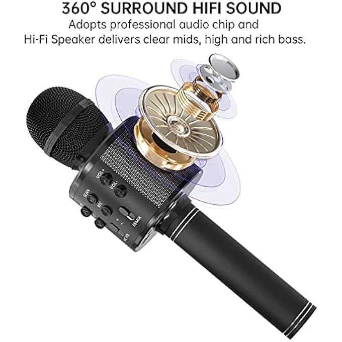 rayihni Karaoke Microphone Pack