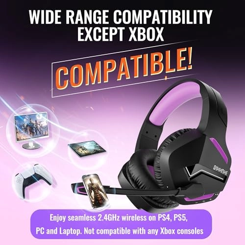 BW01-BT Wireless Headset
