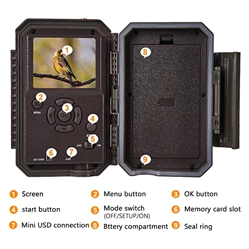 Trail Camera - 24 megapixel