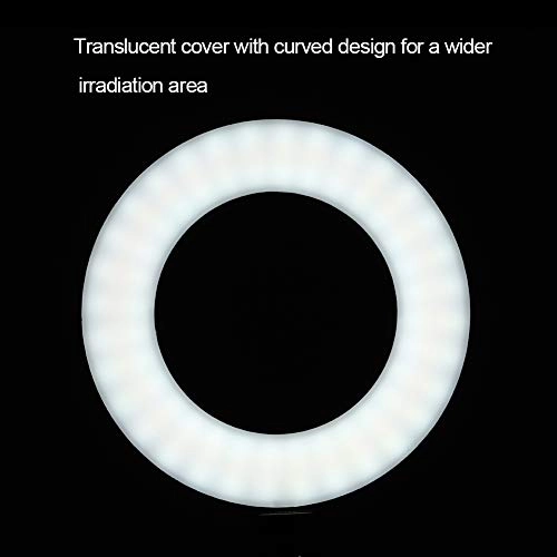 Ring Fill Light - 6 inch