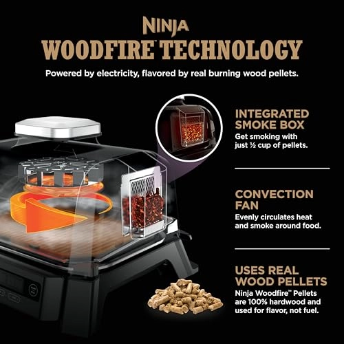 Woodfire Outdoor Grill & Smoker - Electric