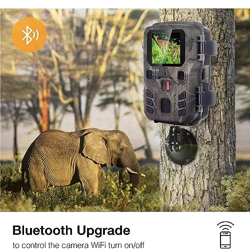 Wildlife Hunting Camera - 5MP
