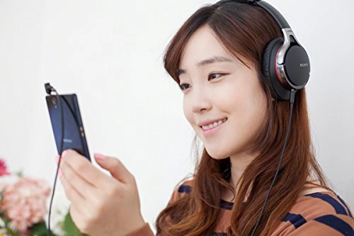 MDRHW300K Wireless Headphone