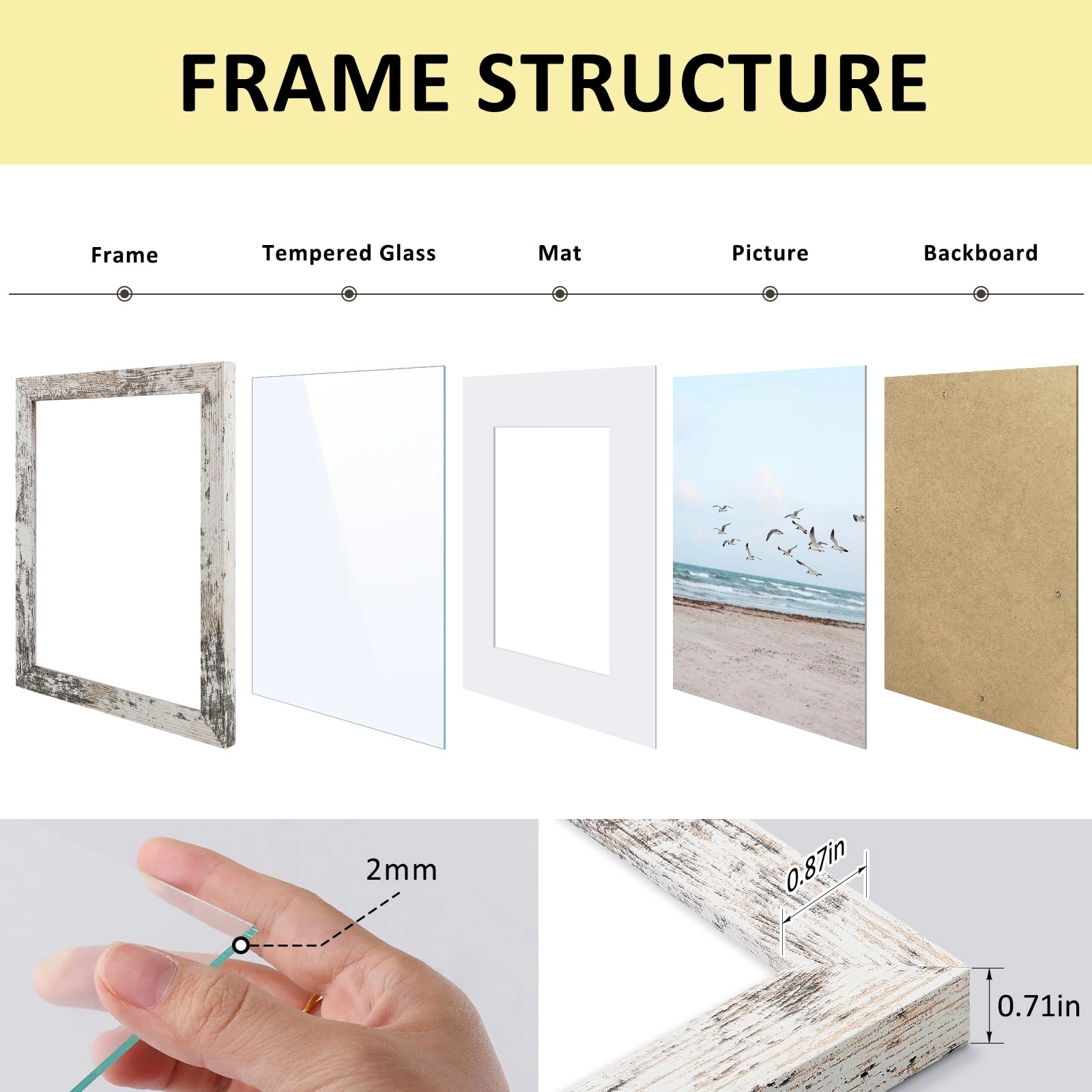 Single Picture Frame - 8x10 1