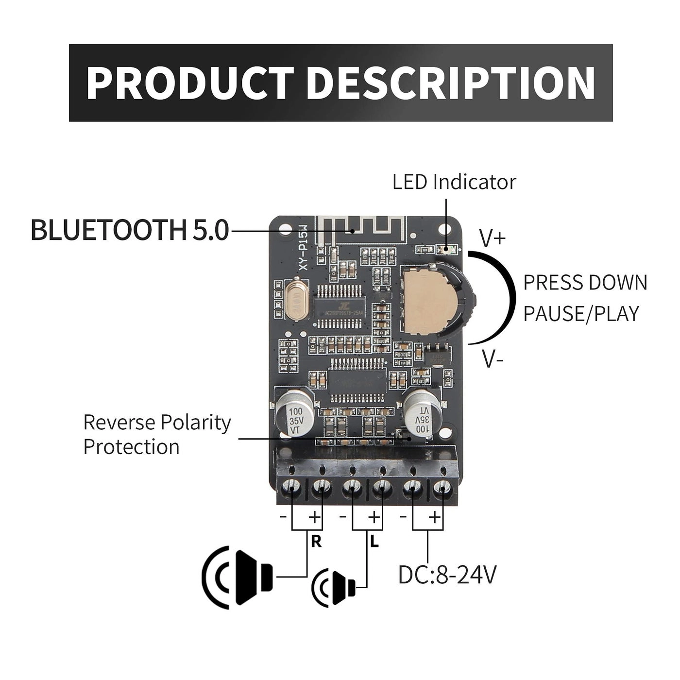 XY-P15W - Dual Channel