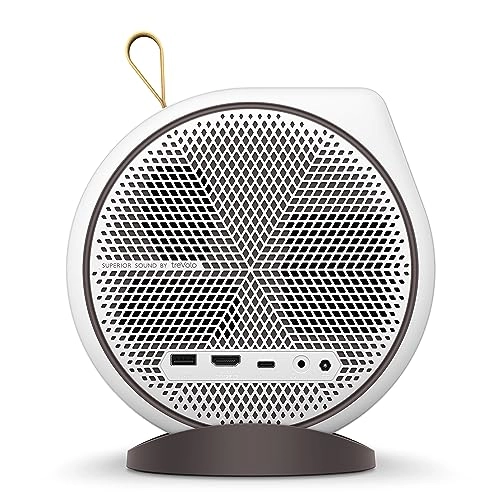 GV31 300 ANSI lumens