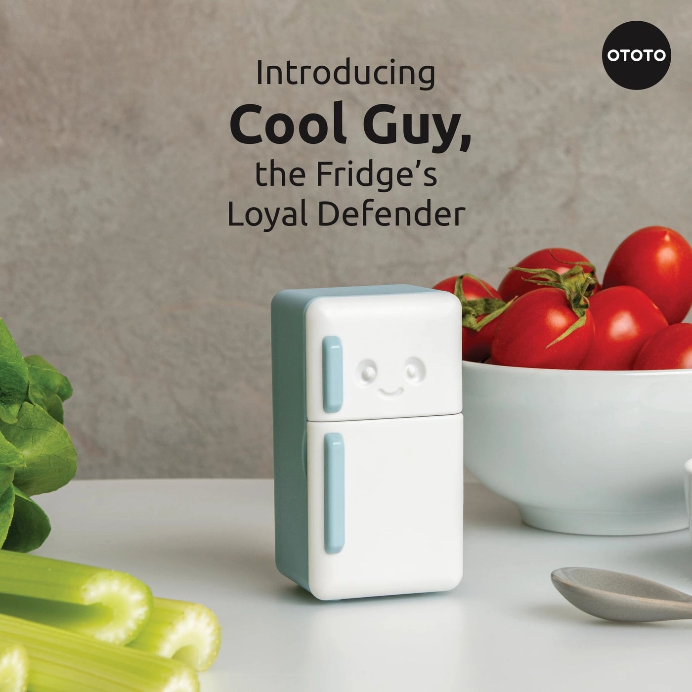 Fridge Deodorizer
