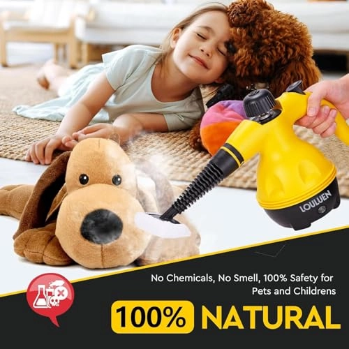 Handheld Steam Cleaner