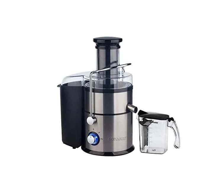 4 in 1 Powerful Juicer Blender - 800W