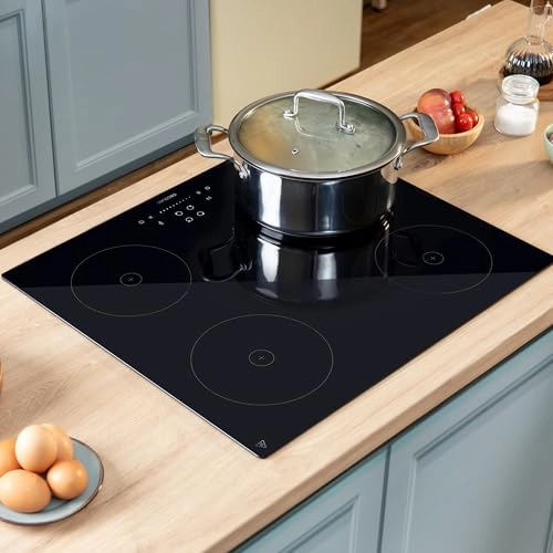 01969 Induction hob
