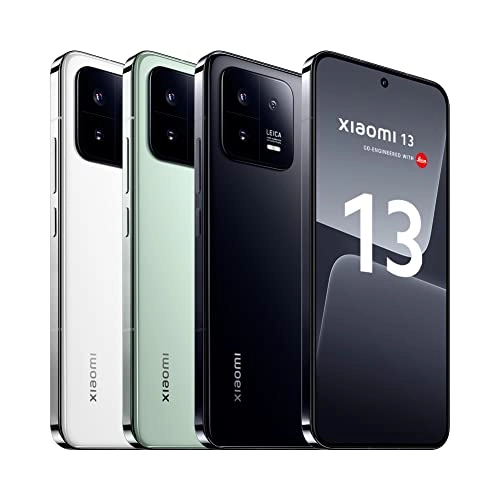 13 - 8GB 256GB