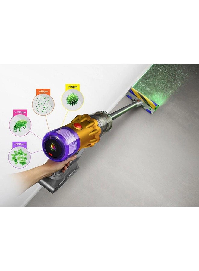 V12 Detect (369524-01)