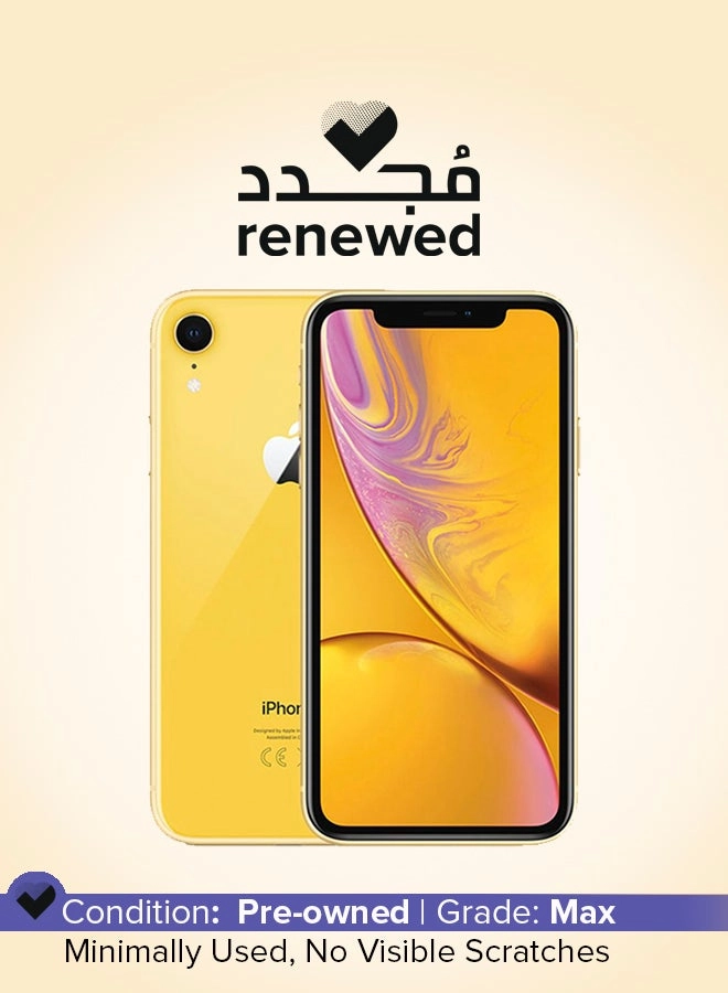 Apple (Renewed) iPhone XR - 256GB