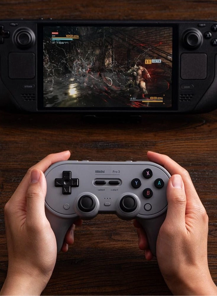 Pro 3 - Gray Switch/Switch 2