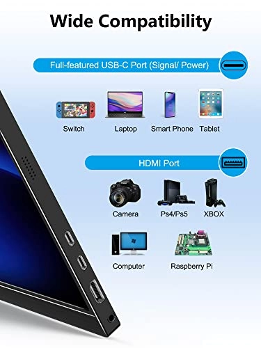 M1701 - 2560 x 1440 Pixels 17.3"