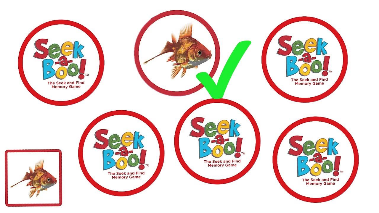 Seek-A-Boo! - Suitable for 18 months & above