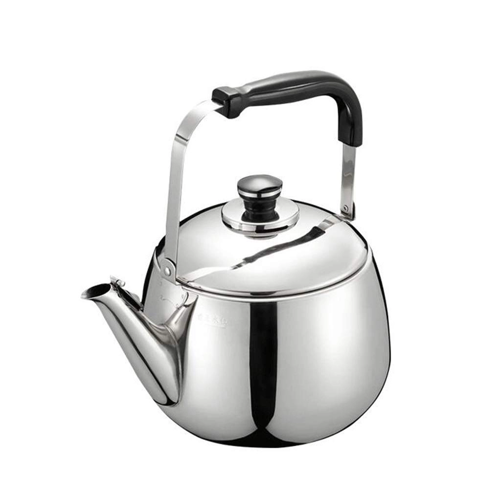 Stovetop Induction Whistling Kettle - 5L