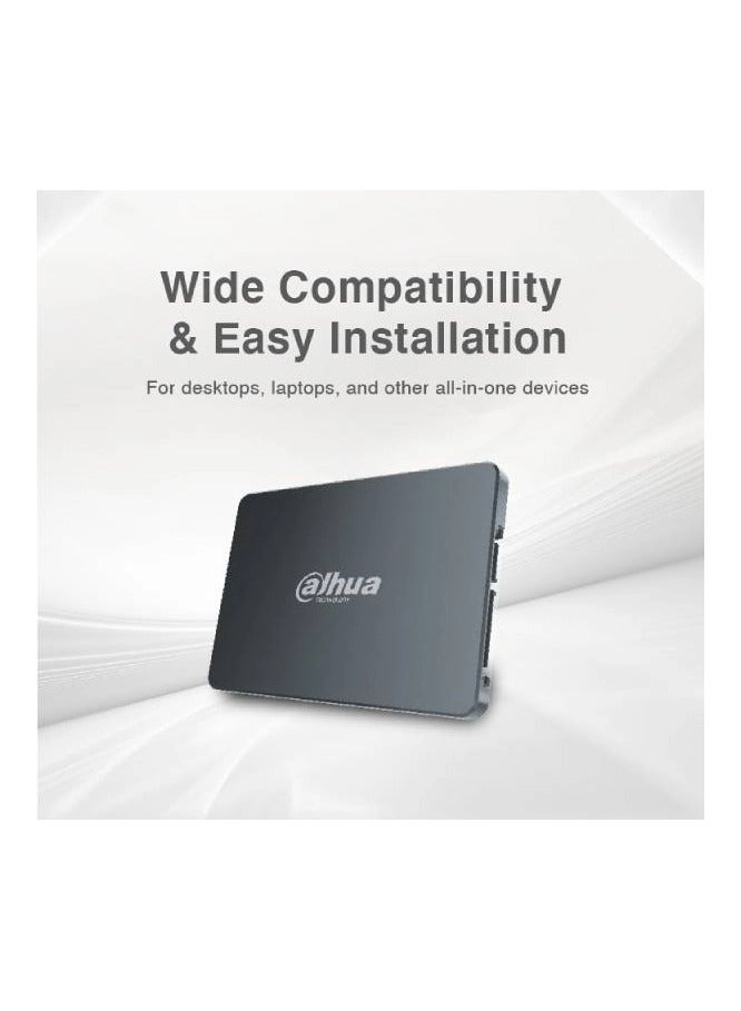 C800A - 1000 GB 2.5-inch