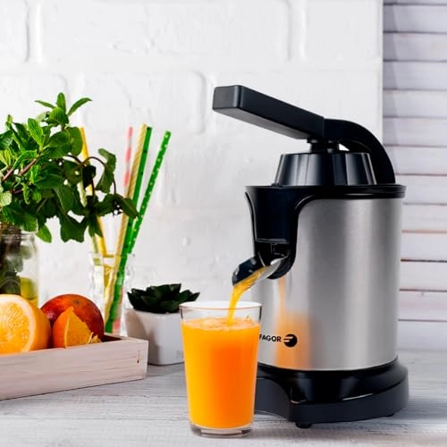 Zumux Force - 600 W 350 ml
