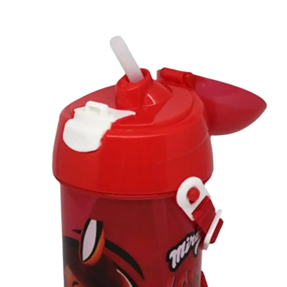 Miraculous Tales of Ladybug and Cat Noir Canteen - Leak Proof