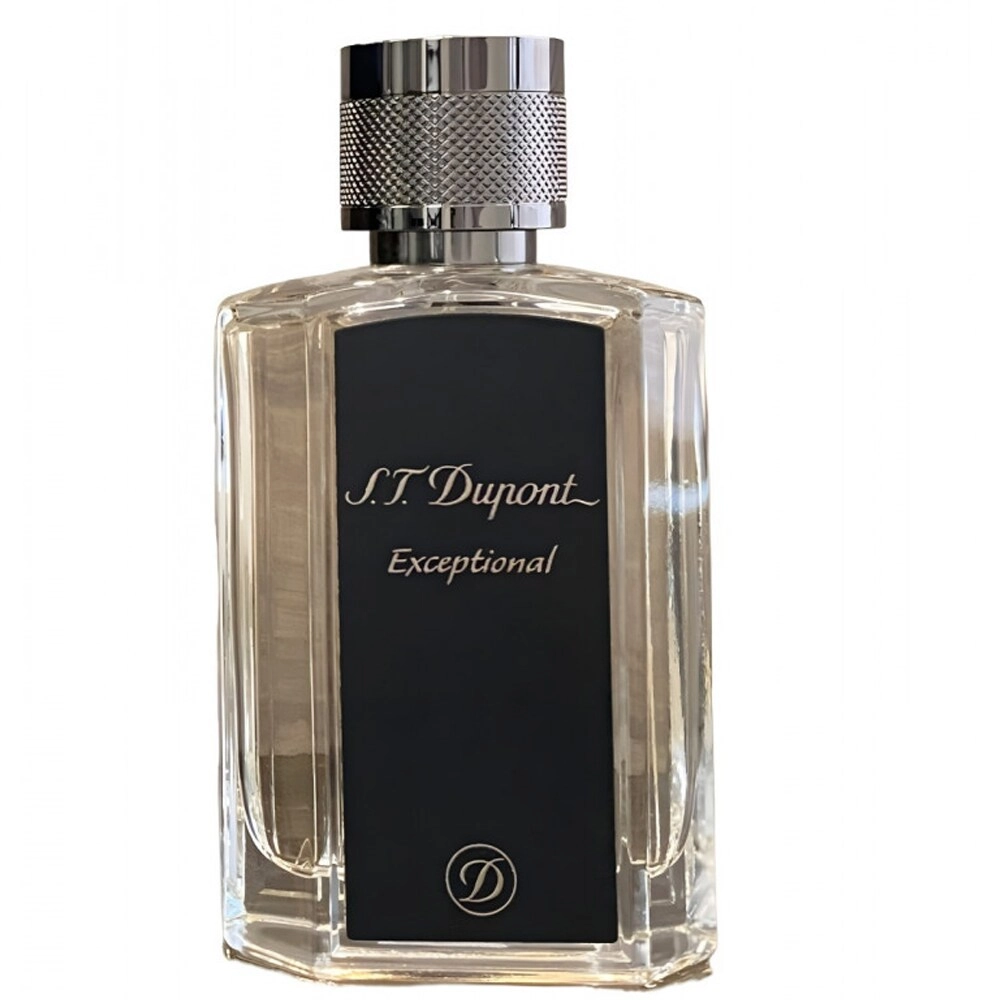 S.T. Dupont Exceptional For Men Eau de Parfum 100ml