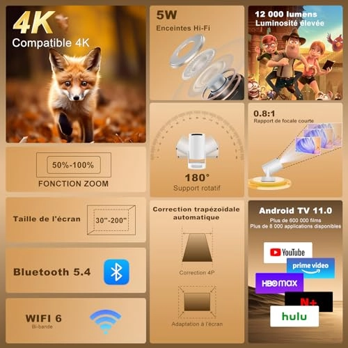 HY300pro+ 1280 x 720