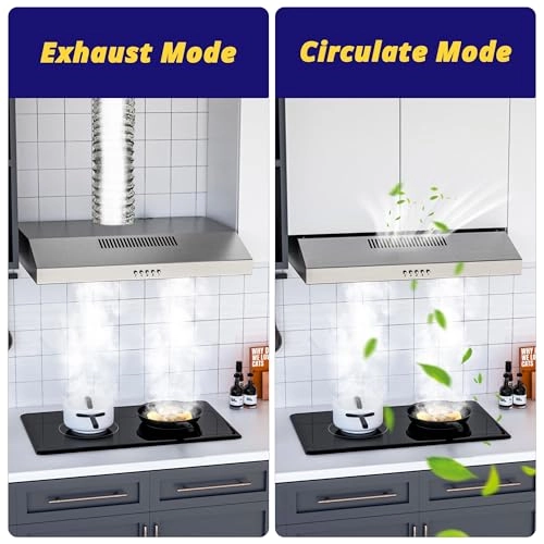 FGS-EBL02Z460CC - 350 m³/h 60 cm