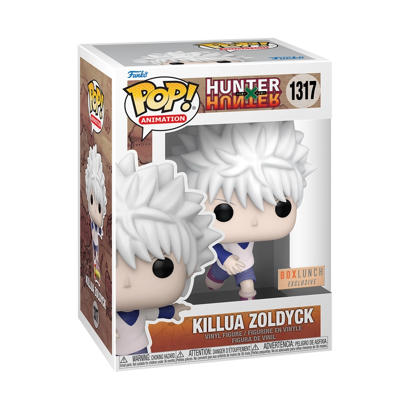 KILLUA ZOLDYCK ON SKATEBOARD